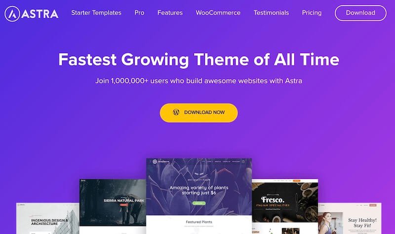 Astra Theme homepage